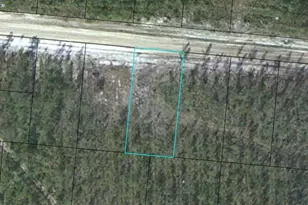 Lot 14 Satilla Plantation, Waynesville, GA 31566 - Photo 1