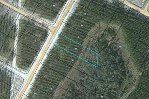 92 Satilla Plantation, Waynesville, GA 31566 - Photo 1