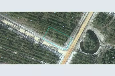 Lot 172 Satilla Plantation, Waynesville, GA 31566 - Photo 1