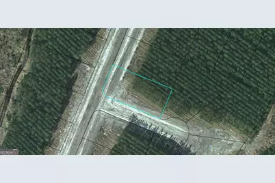 Lot 69 Eagles Crest, Waynesville, GA 31566 - Photo 1