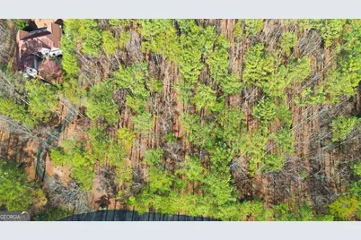 765 Plum Lane #LOT 765, Clarkesville, GA 30523 - Photo 4