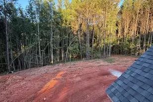 Lot 5 Mud Bridge Rd, The Rock, GA 30285 - Photo 24