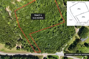 Tract 1 Tesnatee Gap Valley Rd, Cleveland, GA 30528 - Photo 1