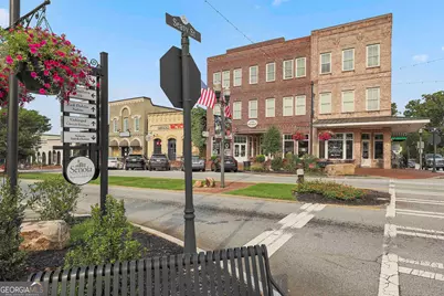 139 Nelms Street, Senoia, GA 30276 - Photo 58