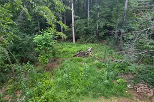475 Somerset Dr, Athens, GA 30606 - Photo 28