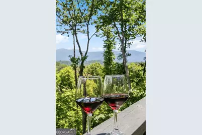 254 Leatherwood Mountain Road, Ellijay, GA 30540 - Photo 4