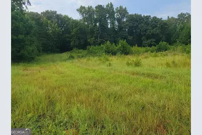 0 Bankston Rd., Meansville, GA 30256 - Photo 10