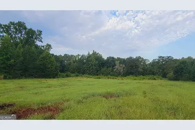 0 Bankston Rd., Meansville, GA 30256 - Photo 6