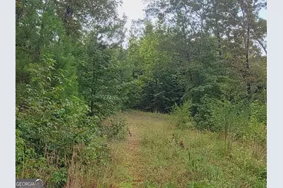0 Bankston Rd., Meansville, GA 30256 - Photo 14