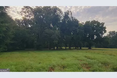 0 Bankston Rd., Meansville, GA 30256 - Photo 2
