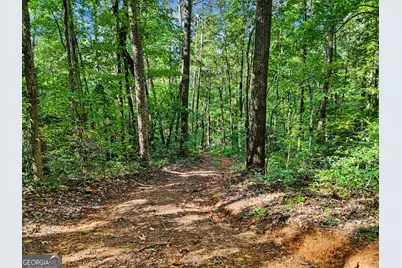 417 Kelly Mountain Road, Clarkesville, GA 30523 - Photo 18