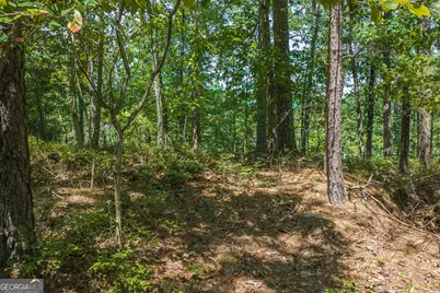 694-695 Railey Ridge #694-695, Ranger, GA 30734 - Photo 6