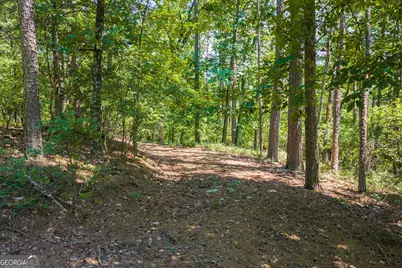 694-695 Railey Ridge #694-695, Ranger, GA 30734 - Photo 10