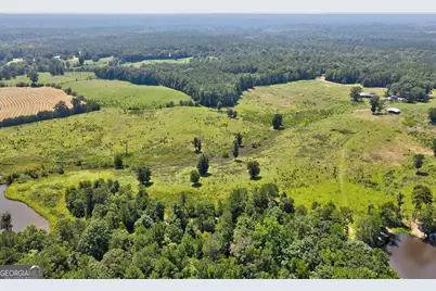 1291 Gray Horse Road, Greensboro, GA 30642 - Photo 38