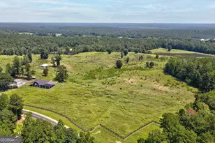 1291 Gray Horse Rd, Greensboro, GA 30642 - Photo 38