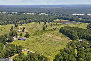 1291 Gray Horse Rd, Greensboro, GA 30642 - Photo 2