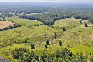 1291 Gray Horse Rd, Greensboro, GA 30642 - Photo 36