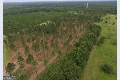 0 Whipples Crossing Lot 2, Dudley, GA 31022 - Photo 6