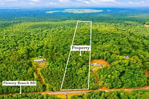 Lot 1 Flowery Branch Rd, Kingston, GA 30145 - Photo 1