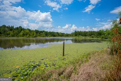 1833 Tom Odum Road, Vidalia, GA 30474 - Photo 112