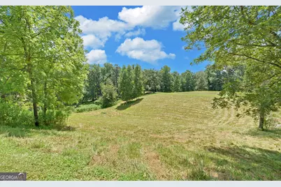 140 Tranquility Drive, Demorest, GA 30535 - Photo 40