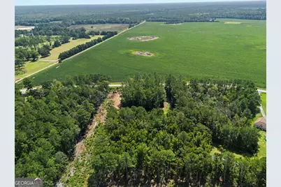 729 Reedsville Road, Clyo, GA 31303 - Photo 36