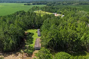 729 Reedsville Rd, Clyo, GA 31303 - Photo 40