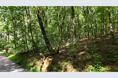 Lot 182 Hillside Drive, Clarkesville, GA 30523 - Photo 4