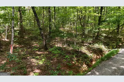 Lot 183 Hillside Drive, Clarkesville, GA 30523 - Photo 4