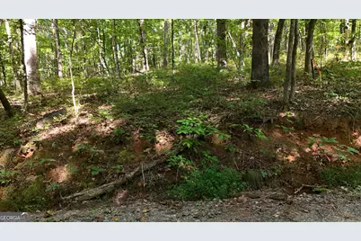 Lot 183 Hillside Drive, Clarkesville, GA 30523 - Photo 8
