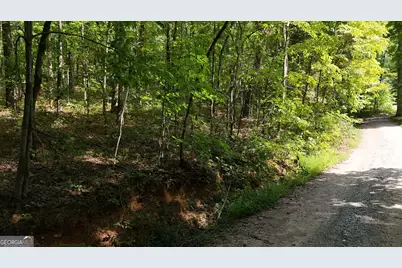 Lot 184 Hillside Drive, Clarkesville, GA 30523 - Photo 2