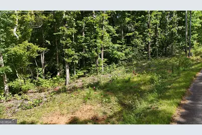 Lot 195 Fern Valley Trail, Clarkesville, GA 30523 - Photo 4