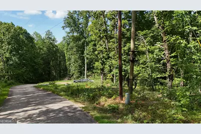 Lot 195 Fern Valley Trail, Clarkesville, GA 30523 - Photo 6