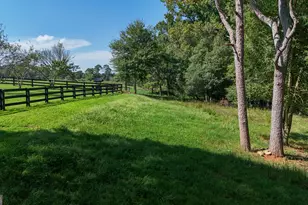 448 Dixie Meadow Ln, Mount Airy, GA 30563 - Photo 52