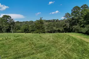 448 Dixie Meadow Ln, Mount Airy, GA 30563 - Photo 56