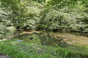 54 Dixon Ln, Clayton, GA 30525 - Photo 54