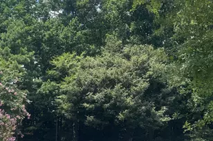 125 Friars Head Dr, Suwanee, GA 30024 - Photo 32