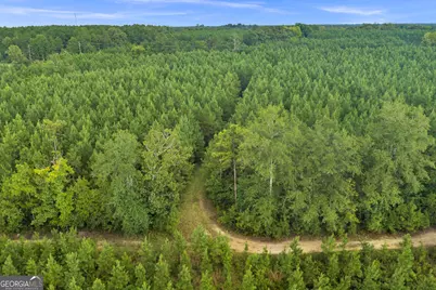 235 Mount Hebron Road, Coleman, GA 39836 - Photo 72
