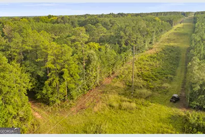235 Mount Hebron Road, Coleman, GA 39836 - Photo 54