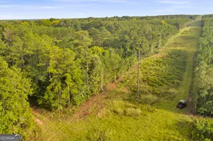 235 Mt Hebron Rd, Coleman, GA 39836 - Photo 54