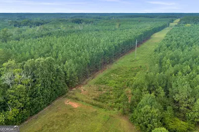 235 Mount Hebron Road, Coleman, GA 39836 - Photo 68