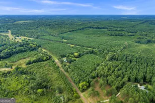 235 Mt Hebron Rd, Coleman, GA 39836 - Photo 40