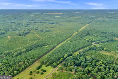 235 Mount Hebron Road, Coleman, GA 39836 - Photo 80