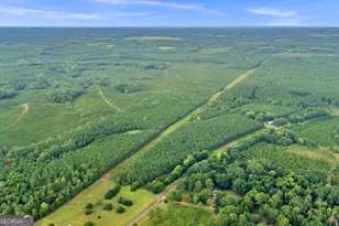 235 Mt Hebron Rd, Coleman, GA 39836 - Photo 80