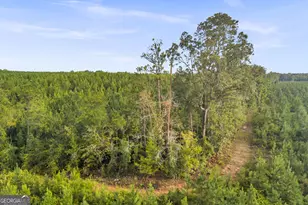 235 Mt Hebron Rd, Coleman, GA 39836 - Photo 52