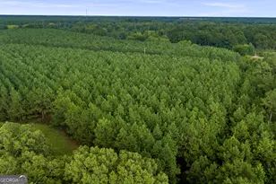 235 Mt Hebron Rd, Coleman, GA 39836 - Photo 62
