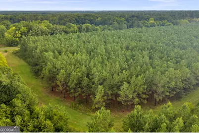 235 Mount Hebron Road, Coleman, GA 39836 - Photo 66