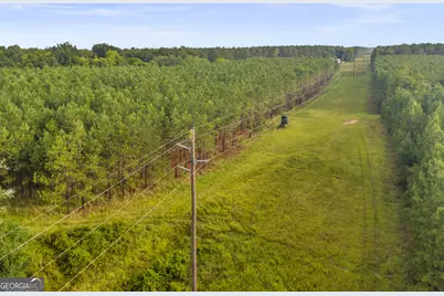 235 Mount Hebron Road, Coleman, GA 39836 - Photo 56