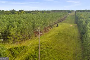 235 Mt Hebron Rd, Coleman, GA 39836 - Photo 56