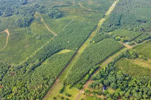 235 Mt Hebron Rd, Coleman, GA 39836 - Photo 46